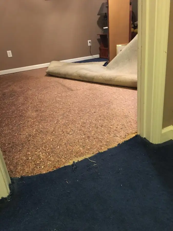Carpet pad removal revealing water damage during Drying & Dehumidification in Leawood